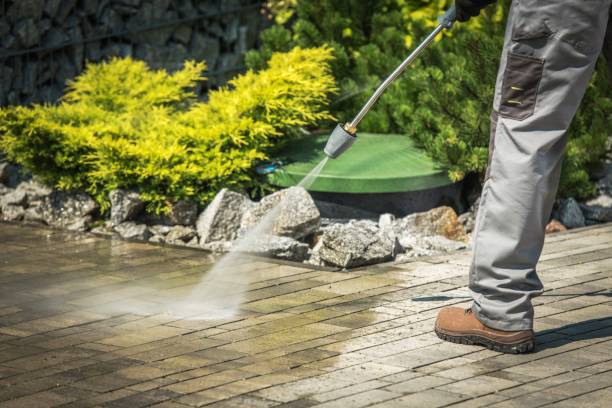 Best Fence Cleaning  in Knoxville, TN